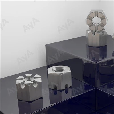 უჟანგავი ციხის კაკალი